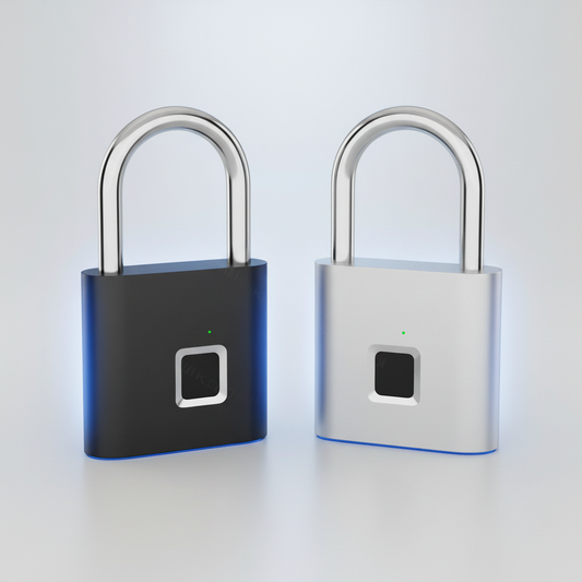 Padlock 1